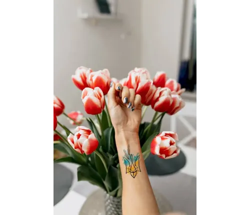 Тимчасові тату набір 10 тату "Українська акварель"